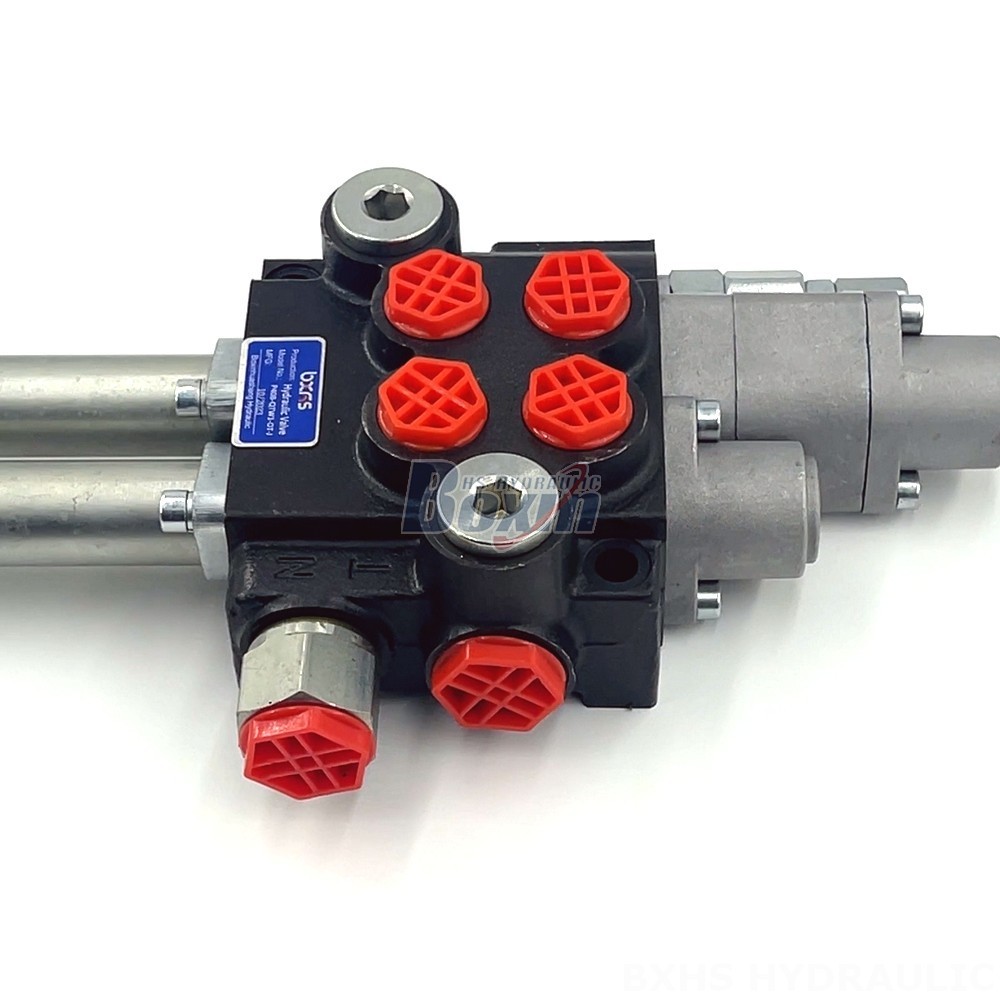 Exclusive Factory Deals on P40 Floating Cable 2 Spool Monoblock Directional Valves detail image